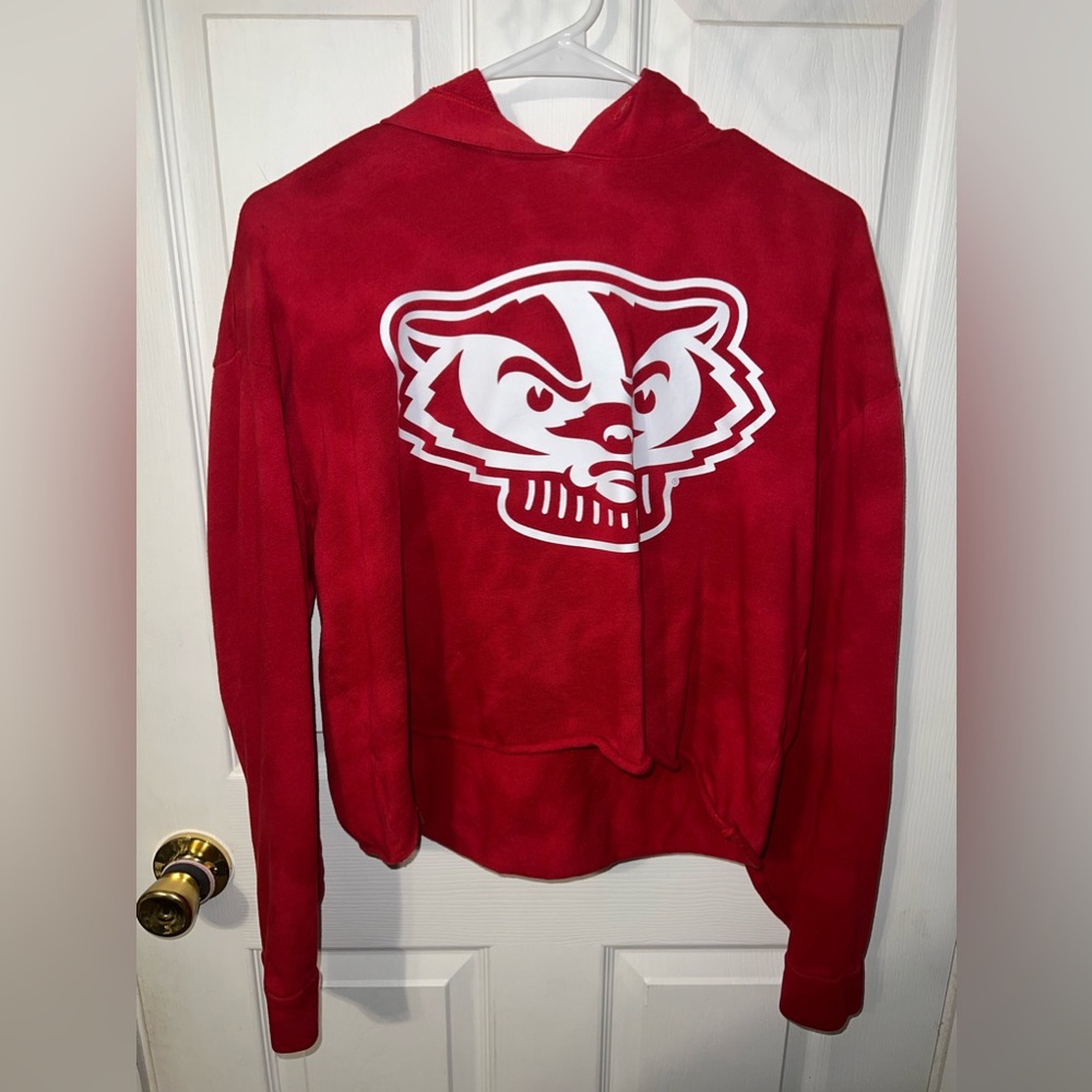Wisconsin Badger Hoodie